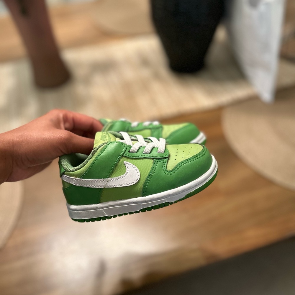 Toddler boys Nike dunks worn twice